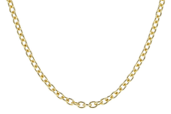 E319-79488: CABLE CHAIN (1.3MM, 14KT, 20IN, LOBSTER CLASP)